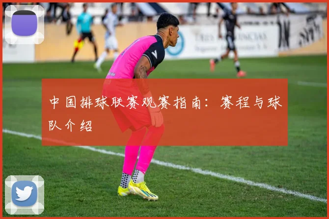 中国排球联赛观赛指南:赛程与球队介绍