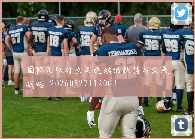 国际足联对女足运动的扶持与发展战略_20260527112003