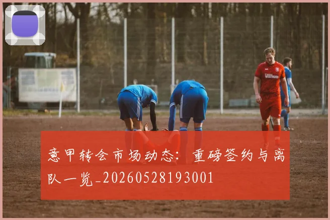意甲转会市场动态：重磅签约与离队一览_20260528193001