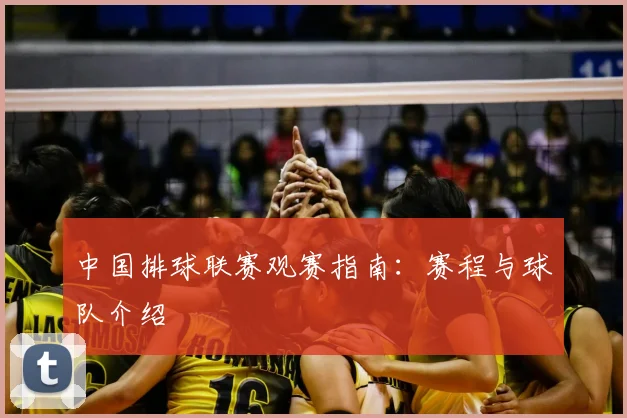 中国排球联赛观赛指南：赛程与球队介绍